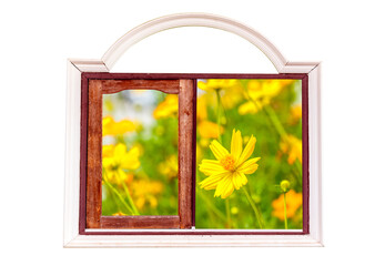 Wood window and and flower