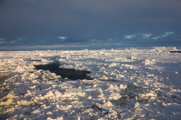 Obraz premium Antarctica landscape with ice and icebergs at sunset on a sunny winter day