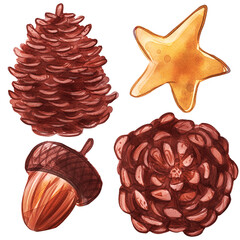 Watercolor set of decorations on Christmas and holiday theme in vintage style. Designed with festive golden stars, red holly flowers, leaves, berries, green fir trees isolated on white background