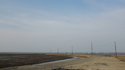 海辺に並ぶ電柱