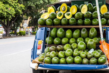 Street sell of avocado at an old car at El Cerrito on the Valle del Cauca region in Colombia