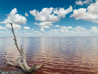 landscape pink salt lake and blue sky with clouds