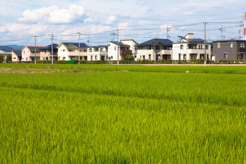 ソーラーパネルの付いた住宅地