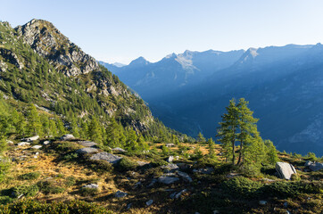 Fototapeta na wymiar The mountains of Ticino on a summers mornig.