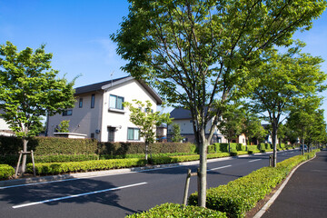 並木道と住宅