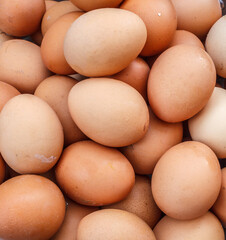 Fresh eggs in a nest photos near closeup