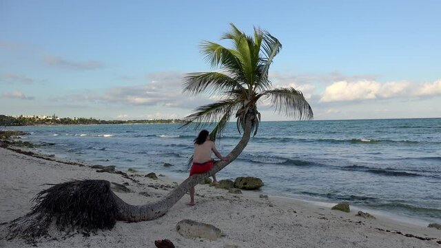 Guy is sitting on the lone curved palm tree at Akumal beach. Mexico