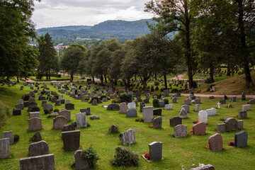 Peaceful cemetery. Tombstones on green grass, lots of trees and mountains in the background