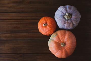 Colorful pumpkins on dark wooden rustic background.