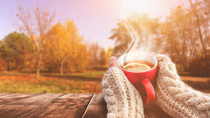Autumn background, hot cup of tea. Red cup in female hands on the background of the autumn landscape. Sunlight, wooden table in nature.