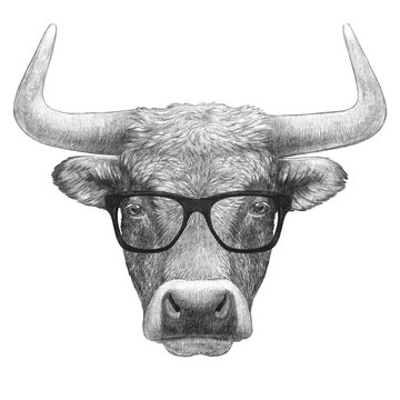 Portrait of Bull with glasses. Hand-drawn illustration.