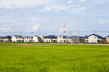 Fototapeta premium ソーラーパネルの付いた住宅地