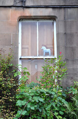 Large Overgrown Window with Wooden Shutters & Small Crafted Horse Toy