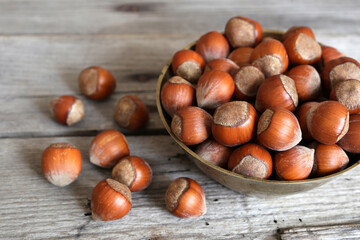 hazelnuts in a bowl
