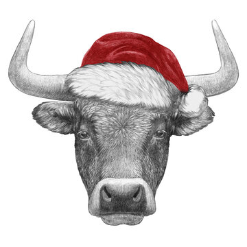 Portrait of Cow with Santa Hat and sunglasses. Hand-drawn illustration.

