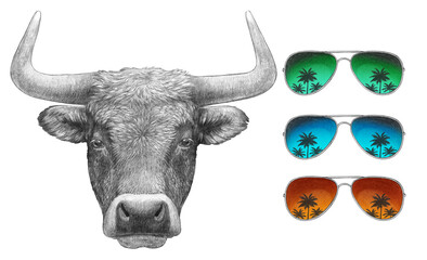 Portrait of Bull with mirror sunglasses. Hand-drawn illustration.