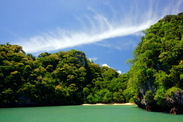 Sky Clouds Above Forest