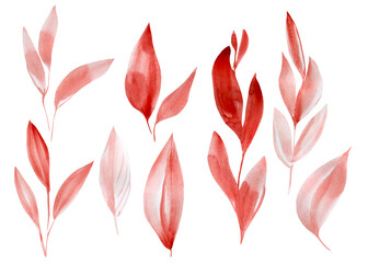 Set of vintage leaves on white background, watercolor illustration, floral design