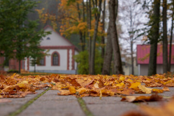 Autumn landscape with colorful leaves and white houses