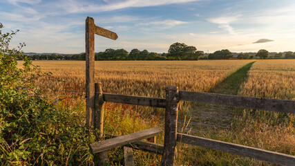 Sign Post to Autumn