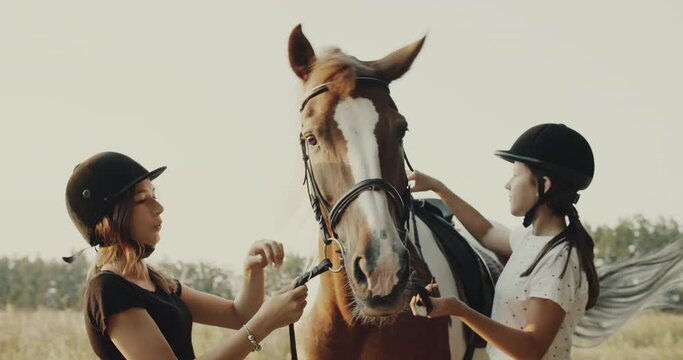 Teen age girls make preparation for horse riding, putting a bridle on horse. Cute cheerful girls, brown horse, summer field background, non urban scene.