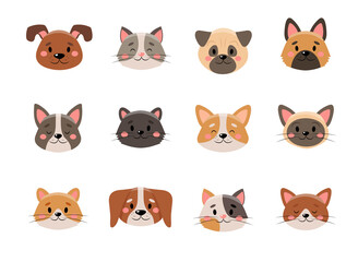 Cute pets face collection, isolated on white background