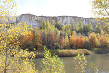 autumn in the forest