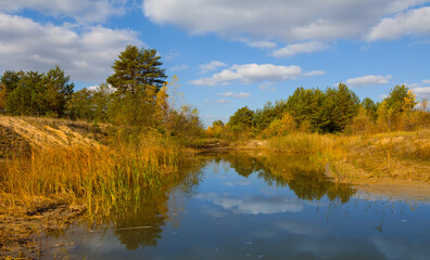 Fototapeta na wymiar small lake in autumn forest, outdoor landscape