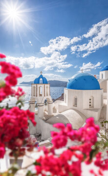 Oia village with churches against red flowers on Santorini island in Greece