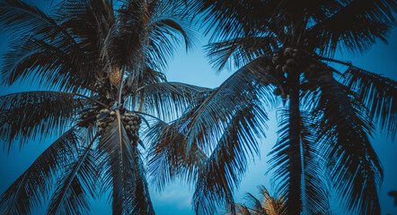 Fototapeta premium Cidade histórica, Porto Seguro, Bahia