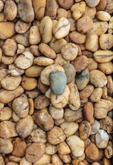 Beautiful fine pebbles natural background images