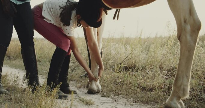 Horse riding lessons for teens at the field, hot summer air, dry grass and road background. Horses anatomy, hoofs without horseshoes