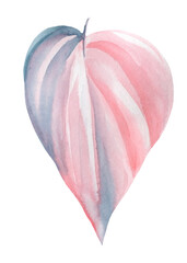 Pink tropical leaf on white background, watercolor illustration, floral design, hand drawing