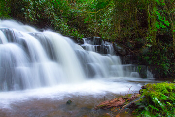 waterfall in the forest