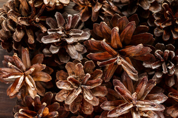 Pine cones on wooden background.Rustic natural wooden background with pine cones