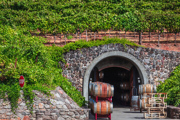 USA Sonoma winery