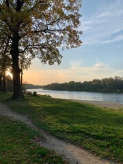 road in the forest along the river at sunset