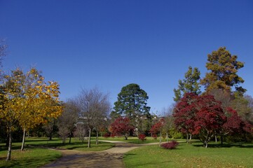 Promenade au jardin de Maurepas