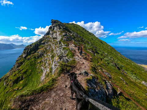 Mannen,Lofoten