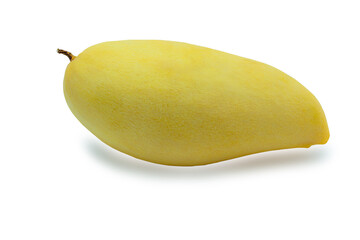 Natural yellow ripe mangoes on a white background