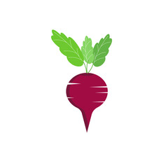 Beetroot. Vector illustration isolated on white background. For the design of leaflets, flyers, coupons, shops and markets.