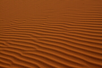closeup of desert sand dune