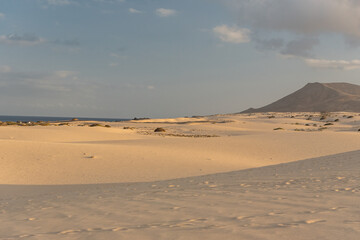 Fototapeta na wymiar Dunas de Corralejo Natural Park in Fuerteventura, Spain in the fall of 2020