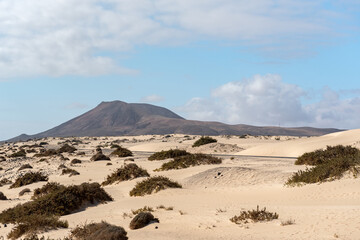 Dunas de Corralejo Natural Park in Fuerteventura, Spain in the fall of 2020