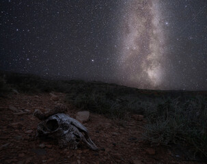 Esqueleto de oveja en el desierto y cielo estrellado