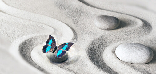 zen garden meditation stone background and butterfly with stones and lines in sand for relaxation...