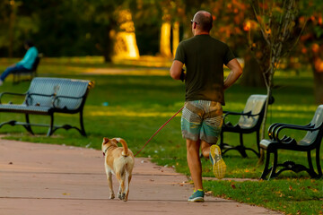A young athletic caucasian man wearing short, t-shirt and sneakers is running in the park alongside...