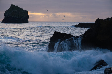 islande, falaise et rochers - Valahnúkamöl région Reykjanes 