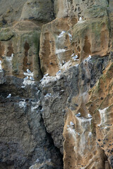 islande, falaise et rochers - Valahnúkamöl région Reykjanes 