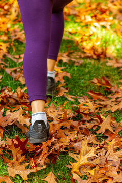 Close up view of a women's feet as she walks over grass covered with fallen leaves of red maple tree. She wears purple tights and sneakers. A concept image for autumn, exercise, fitness and lifestyle.